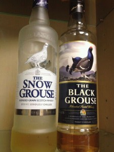 Black Grouse X Snow Grouse