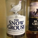 馳名雪雞 Famous Snow Grouse