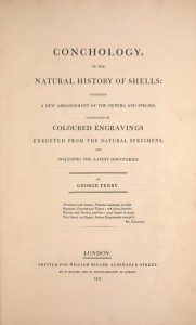 Conchology, or The Nature History of Shells